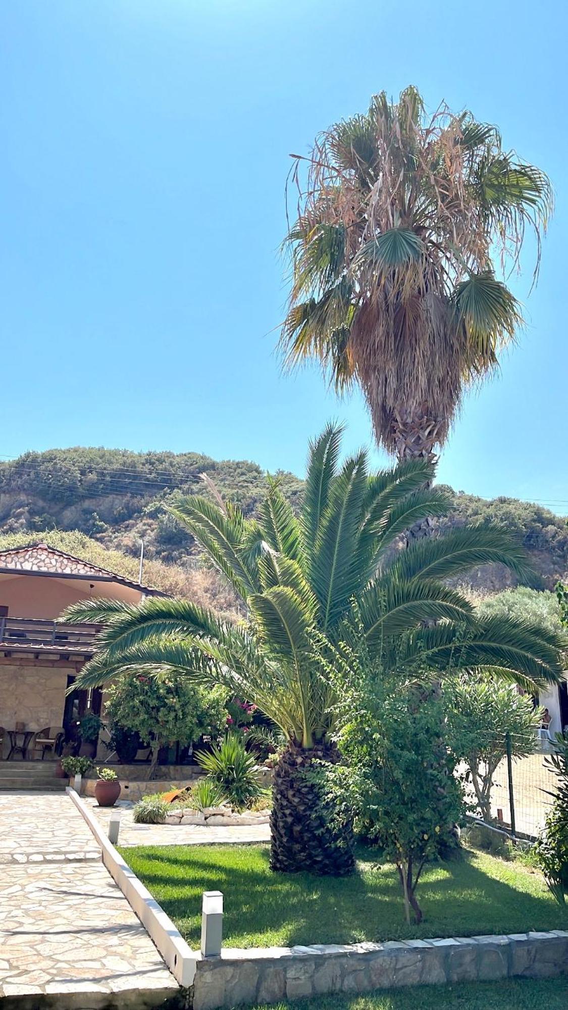 Palma Beach House Sarti Dış mekan fotoğraf