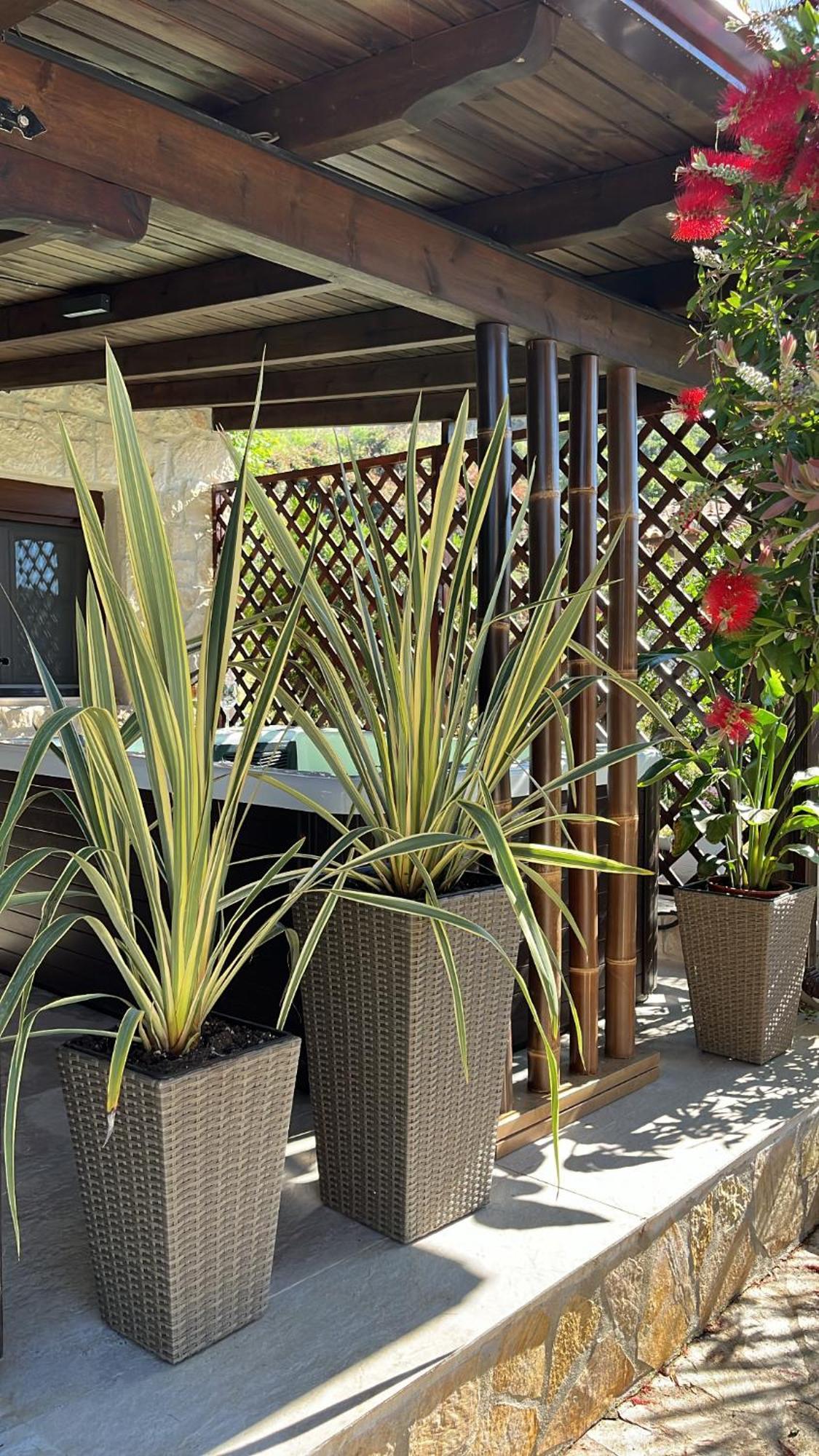 Palma Beach House Sarti Dış mekan fotoğraf